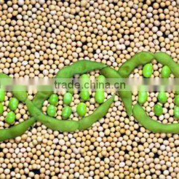 Chinese soybean