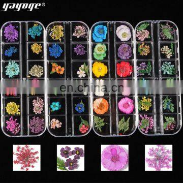 2019 Fashion Nail Art Designs Decoration 3D photo-3
