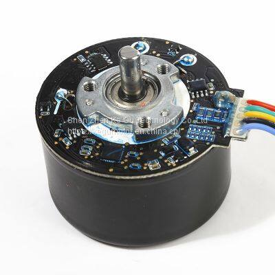 55mm bldc brushless motor bl5530 bl5530o 50W outrunner brushless motor 3000rpm for Massager