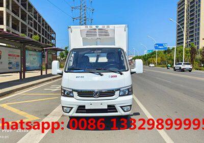 Customized Dongfeng Tuyi 4*2 LHD Petrol Engine Mini Refrigerated Van Truck for Sale 0.5T-1T photo-3