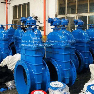 24 Inch DN600 Ductile Iron BS DIN F4 Soft Seal Gate Valve photo-2