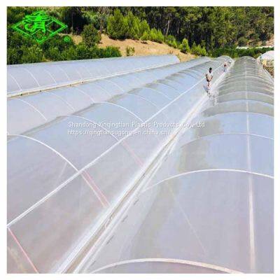 Qingtian PO Warranty Anti-dripping Greenhouse Plastic Film for Agriculture With Long Service Time photo-3