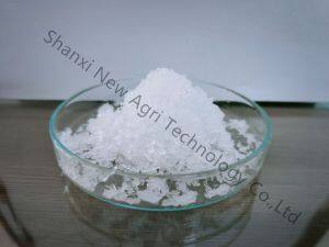 Hot Sale High Quality Magnesium Nitrate CAS 13446-18-9 N11%Min