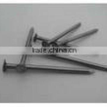 COMMON NAIL