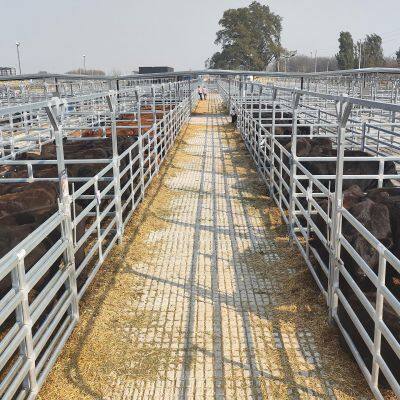 Cheap Pen Horse Corral Panels Livestock Cattle Panels for Farm photo-4