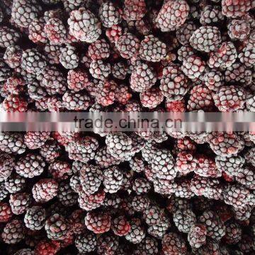 frozen fruits IQF frozen blackberries sweet blackberry