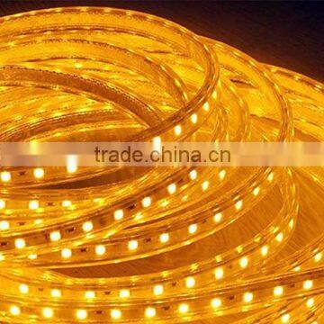 Factory Best Price and Waterproof 5050-60L LED strip 220V high voltage