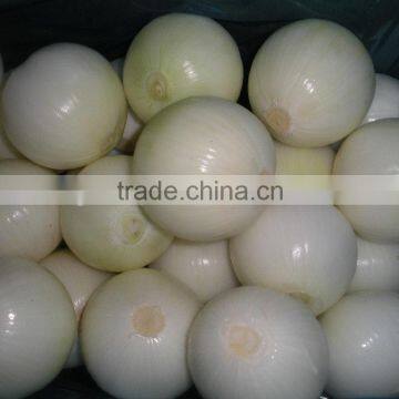 New Fresh High Grade Red Onion 2014 in China With Good Quality photo-2