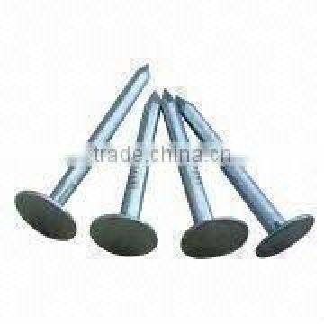 Eg roofing nails smooth shank