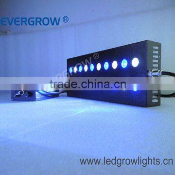 60w cree led aquarium lights