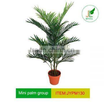 Classic mini palm tree for office decoration