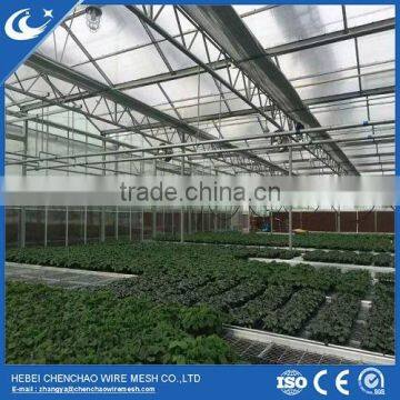 50m length 8m width plastic film single span greenhouse benches for sale