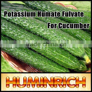 FAQ 2--Potassium Humate Fulvic Acid Fertilizer For Cucumber photo-2