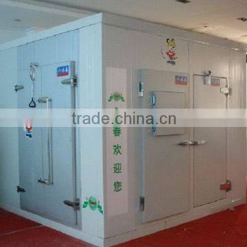 Designer hot sale insulation cold room with fire retardant