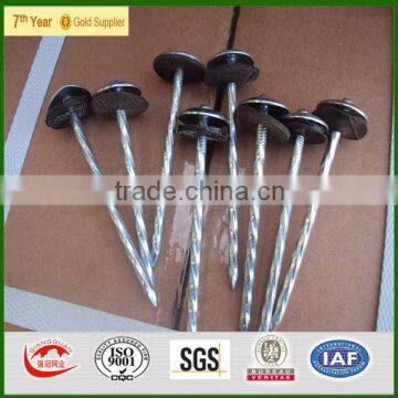 Qiangguan 2016Hot sale big head roofing nails(high quality low price )