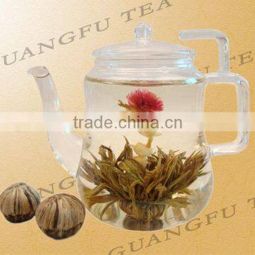 GLF-A23 World Champion