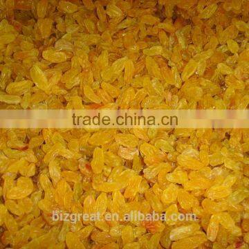 We are supply AD Dried sweet Dried Golden Raisins with good quality