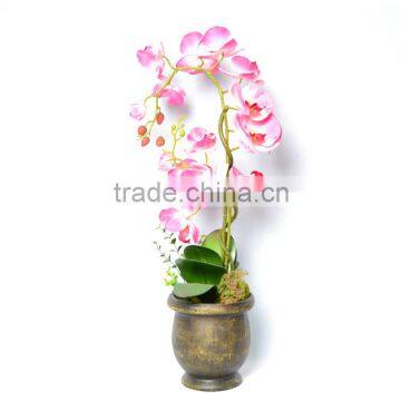 Realistic Ornamental Light Red Forever Orchid Plant