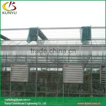 Venlo roof type tempered glass greenhouse greenhouse glass panels