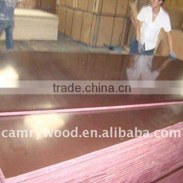 shuttering plywood