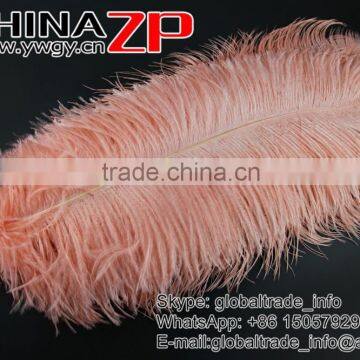 ZPDECOR Trade Assurance Leading Supplier Wholesale Size From 50-55cm Cheap Dyed Champagne Ostrich Feather photo-2