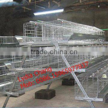 A-type layer egg chicken cage,poultry farm house design (lydia : 0086-15965977837)