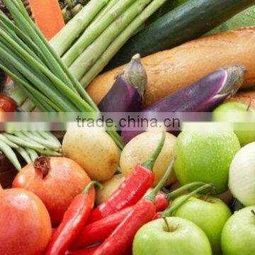 Real touch vegetables for home decoration