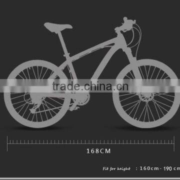 Popular Design Complete Carbon Fiber Mountain Bicycle Made in China for Sale/Carbon Fibre Mountain Bike Frame photo-4