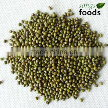 New Crop Mung Beans Price