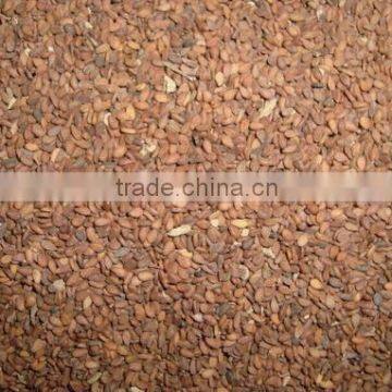 Brown Sesame Seed photo-2