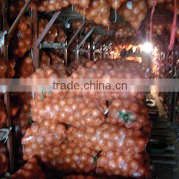 2015 Fresh Red and Yellow Onions With Lowest Price photo-5
