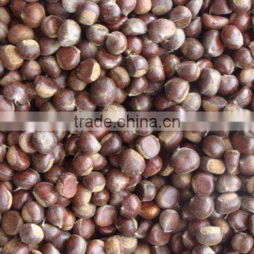 Fresh Chestnut