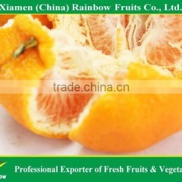 Chinese Sweet yongchun lokan mandarin