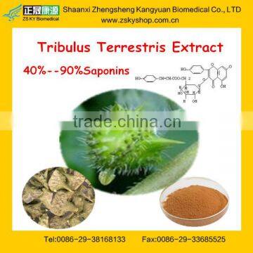 Best Tribulus Terrestris Extract Powder from GMP manufacturer