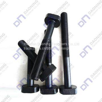DIN261 DIN186 T Head Bolt photo-3