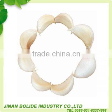 China fresh normal white garlic can provide