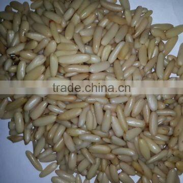 Middle East Quality Pine Nuts Kernel