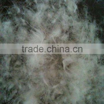70% Washed White Goose Down