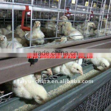 TAIYU-3 H type chick cage