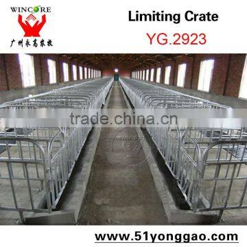2.0mm Galvanized Pipe Pig Limit Crate Swine Gestation Cage for Pig Farm Equipment photo-2