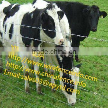 Wire Mesh Fence/cattle,Horse,Sheep,Chicken Grassland Fence/pig Farming Equipmen