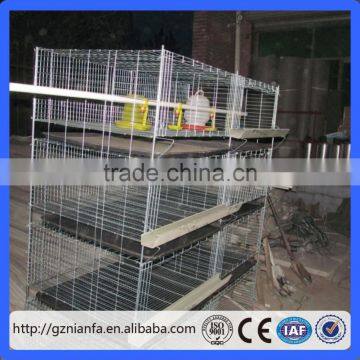 10000 birds chicken breeding automatic battery design layer chicken cage(Guangzhou Factory)