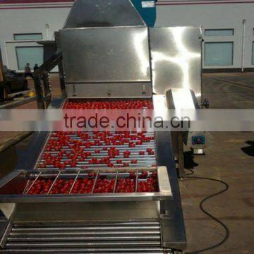 automatic stainless steel 304 roller elevator for food