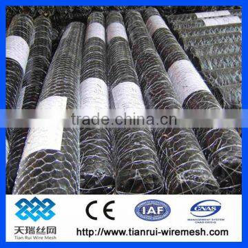 PVC Coated Galvanized Hexagonal Wire Netting /hexagonal Wire Mesh photo-6