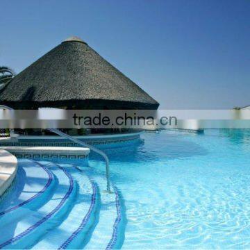 Swimming Pool photo-3
