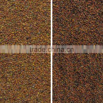 Agricultural Machines Advanced Seed CCD Color Sorting Machine photo-3