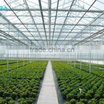 Blackout Vegetable Greenhouse With Steel Frame photo-2