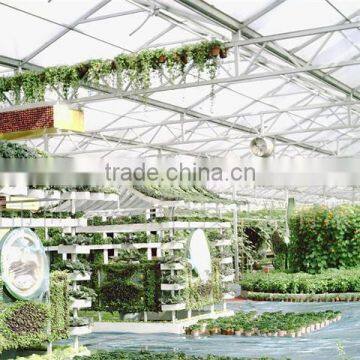 Multi Span Glass Greenhouse With Tomato Hydroponic photo-3
