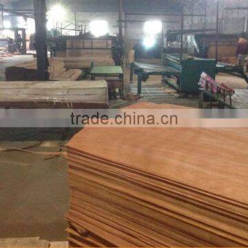 Linyi Factory Grade a b c d Rotary Cut 0.28mm 1220x2440 BNG Face Veneer photo-4