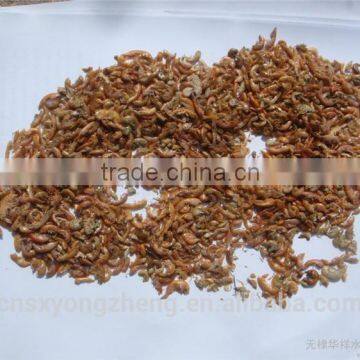High Protein Freeze Dried Gammarus